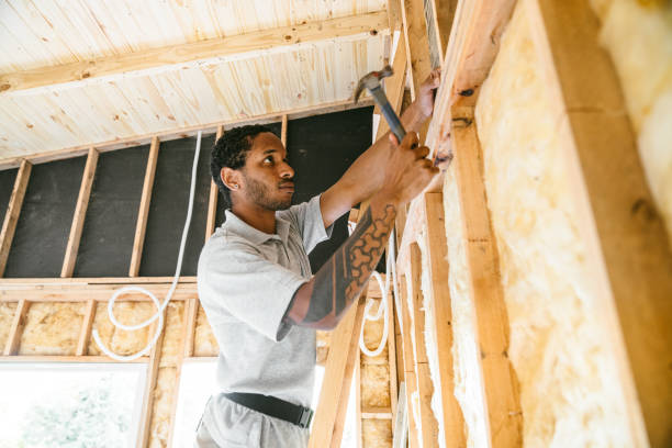 Best Insulation for New Construction  in Livingston, LA