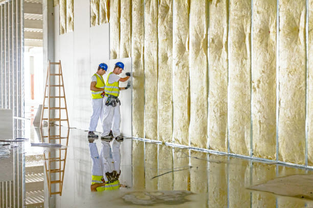 Types of Insulation We Offer in Livingston, LA